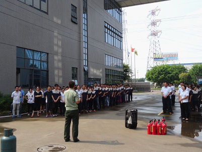 港澳六台联盟